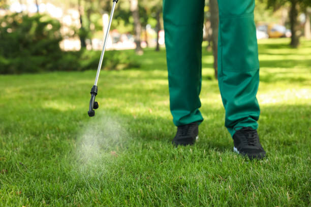 Trusted Florida Gulf Coast University, FL Pest Control Experts
