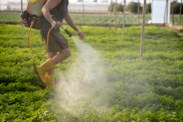 Best Best Pest Control Companies  in Orida Gulf Coast University, FL